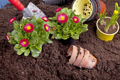 Professional garden clearance in Maida Vale