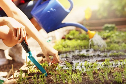 Lush garden maintained by Maida Vale Gardening Services