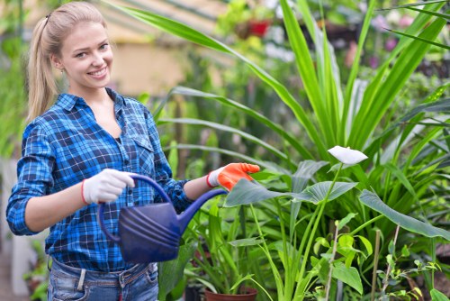 Garden team sorting green waste in Maida Vale
