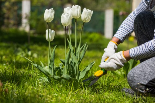 Professional lawn mowing service in a Maida Vale garden