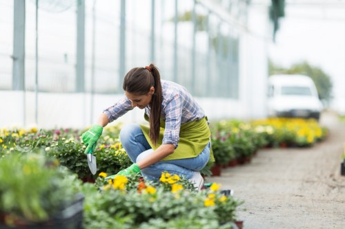 Eco-friendly lawn care practices in Maida Vale