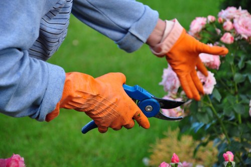 Eco-friendly garden clearance process