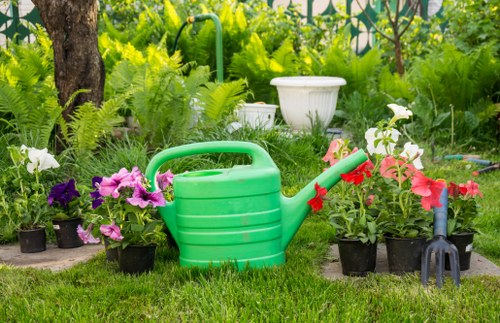 A vibrant garden scene featuring a neatly maintained grassy area with lush green foliage in the background, including a variety of ferns, leafy plants, and trees. In the foreground, there are several potted flowering plants with purple and pink blossoms arranged along the edge of the lawn. A large, bright green plastic watering can is positioned among the plants, surrounded by gardening tools such as a small hand rake and hoe, which are placed on the grass. The garden appears to be well-kept, with a natural layout that includes a mix of flowering beds and shrubbery. The environment suggests a sunny day with natural daylight illuminating the scene, reflecting typical outdoor maintenance routines associated with professional gardening services in Maida Vale. The arrangement and elements in the garden emphasize active gardening care and thoughtful planting, consistent with the services offered by Gardening Services Maida Vale in maintaining and beautifying outdoor spaces.