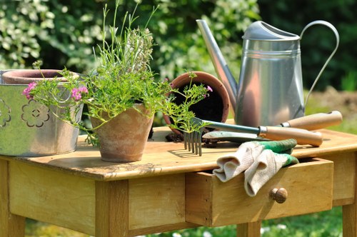Close-up of gardening tools and plant trimmings after service