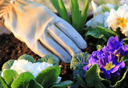 Diverse plant selection for a vibrant landscape garden