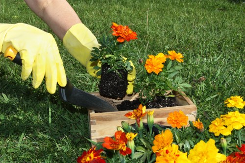 Professional gardeners at work in Maida Vale