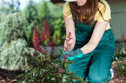 Gardening team adjusting tools to suit varied mobility needs