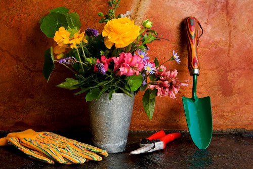 Eco-friendly gardening practices by Maida Vale
