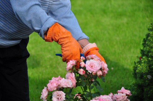 Pruning and trimming by garden experts