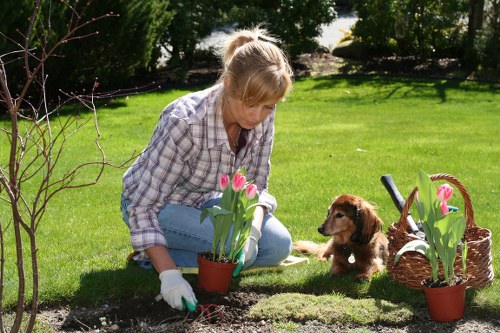 Garden maintenance services in Maida Vale