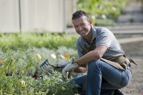 Sustainable landscaping practices in a Maida Vale outdoor space