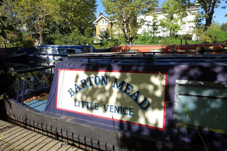 A daytime view of a tranquil canal in Maida Vale featuring lush green trees with freshly trimmed leaves and textured bark, lining the paved pathway alongside the water. Several narrowboats with vibran